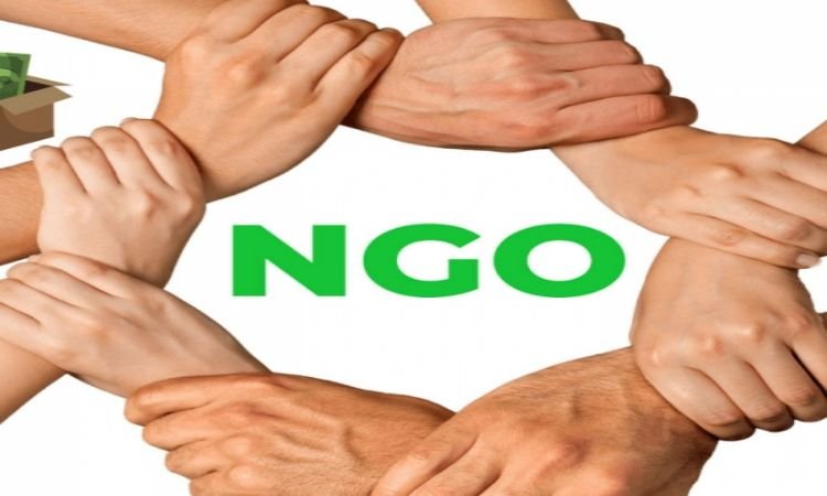 NGO in USA: Empowering Women and Children Through Advocacy and Action